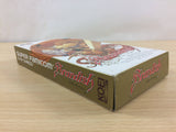 Brandish BOXED SNES Super Famicom Japan - UC2979