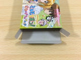ub1089 Mirumo de Pon! DokiDoki Memorial Panic BOXED GameBoy Advance Japan
