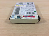 Kuusou Kagaku Sekai GulliVer. Boy BOXED GameBoy Game Boy Japan - UB3803