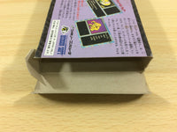 ua9798 Seireigari BOXED NES Famicom Japan