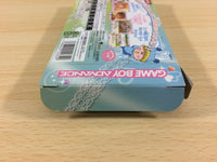 ub1089 Mirumo de Pon! DokiDoki Memorial Panic BOXED GameBoy Advance Japan