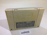 F1 Grand Prix Racing SNES Super Famicom Japan - SE9429