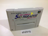 Ski Paradise with Snowboard SNES Super Famicom Japan - SH2918