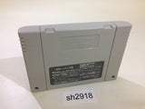 Ski Paradise with Snowboard SNES Super Famicom Japan - SH2918