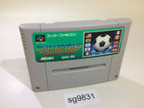 Champions World Class Soccer SNES Super Famicom Japan - SG9831