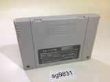 Champions World Class Soccer SNES Super Famicom Japan - SG9831
