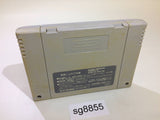 F1 Grand Prix Racing SNES Super Famicom Japan - SG8855