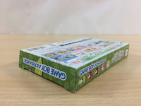 UD1348 Ochaken no Boukenjima BOXED GameBoy Advance Japan
