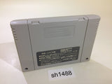 Yuujin no Furi Furi Girls SNES Super Famicom Japan - SH1488