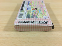 ub1090 Mirmo Mirumo de Pon BOXED GameBoy Advance Japan
