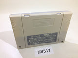 F1 Grand Prix Racing SNES Super Famicom Japan - SF9317