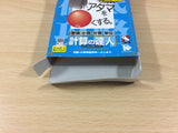 Shikakui Atama wo Marukusuru Keisan no Tatsujin BOXED Game Boy Japan - UB3528