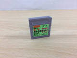 Goukaku Boy Rika Anki Point 250 BOXED GameBoy Game Boy Japan - UB3804