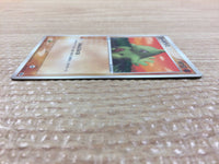 CC4442 Larvitar RockGround - PROMO 033/PCG-P Pokemon Card TCG Japan