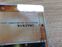 CC4442 Larvitar RockGround - PROMO 033/PCG-P Pokemon Card TCG Japan
