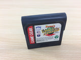 Hideo Nomo's World Series Baseball Sega Game Gear Japan - UB9613