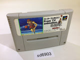 From TV Animation Slam Dunk SNES Super Famicom Japan - SD6903