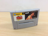 TenryuuGenichiro no ProWrestling Revolution BOXED SNES SuperFamicom - UB6625
