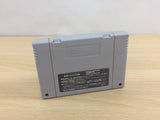 TenryuuGenichiro no ProWrestling Revolution BOXED SNES SuperFamicom - UB6625