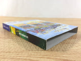 18 Wheeler American Pro Trucker BOXED GameCube Japan - FG1840