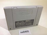 Super Hockey '94 SNES Super Famicom Japan - SE8495
