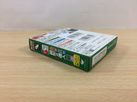 ub3806 Master of shapes BOXED GameBoy Game Boy Japan