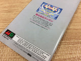 DH5122 V V Grind Stormer BOXED Mega Drive Genesis Japan