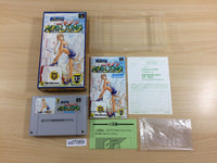 ud7069 Super Nichibutsu Mahjong BOXED SNES Super Famicom Japan