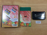 DH8067 Wonder Boy III Monster Lair BOXED Mega Drive Genesis Japan
