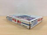 Nakajima Satoru F1 Hero 2 BOXED NES Famicom Japan - UB5170