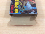 Hiryu no Ken BOXED NES Famicom Japan - UD5200