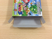 UD5560 Zettai Zetsumei Dangerous Jiisan 3 BOXED GameBoy Advance Japan