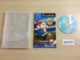 dg3246 Jikkyou Powerful Pro Yakyuu 11 Disc GameCube Japan