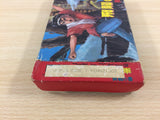 Hiryu no Ken BOXED NES Famicom Japan - UD5200