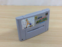 ud7069 Super Nichibutsu Mahjong BOXED SNES Super Famicom Japan