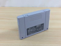 ud7069 Super Nichibutsu Mahjong BOXED SNES Super Famicom Japan