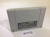 Populous SNES Super Famicom Japan - SH1172
