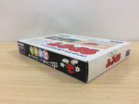 UB5583 Spot The Video Game BOXED NES Famicom Japan