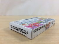 UD4326 Breath of Fire Ryuu no Senshi BOXED GameBoy Advance Japan
