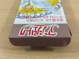 Angelique BOXED SNES Super Famicom Japan - UB8914