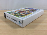 Final Fantasy Crystal Chronicles BOXED GameCube Japan - FH2370