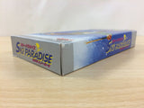 Ski Paradise with Snowboard BOXED SNES Super Famicom Japan - UD8758