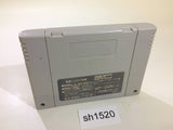 Sougou Kakutougi Rings Astral Bout 3 SNES Super Famicom Japan - SH1520