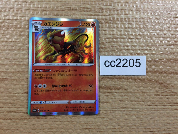 CC2205 Pyroar Fire R s9a 016/067 Pokemon Card TCG Japan