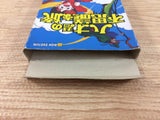 DH7892 Hao's Mysterious Journey BOXED Famicom Disk Japan