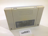 Super Birdie Rush Golf SNES Super Famicom Japan - SE6081