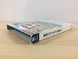 Jikkyou Powerful Pro Yakyuu 11 BOXED GameCube Japan - DF7371