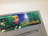 Super Birdie Rush Golf SNES Super Famicom Japan - SE6081