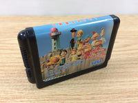 DH8070 Hyokkori Hyoutanjima BOXED Mega Drive Genesis Japan