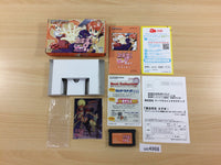 UC4968 Negima! Private Lessons 2 BOXED GameBoy Advance Japan